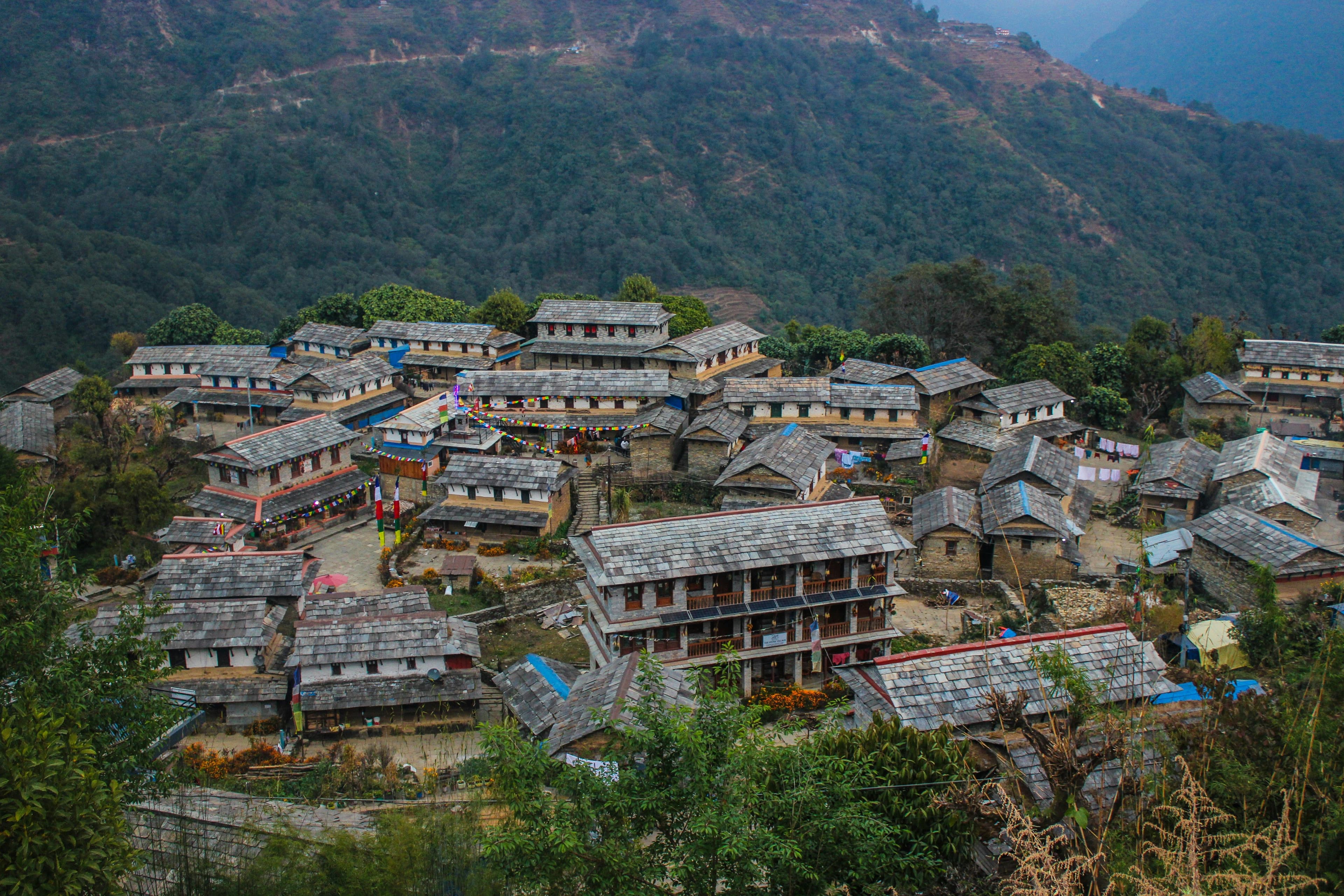 Pokhara: Ghandruk (1940m) – Tadapani (2630m) — The Adventure Begins