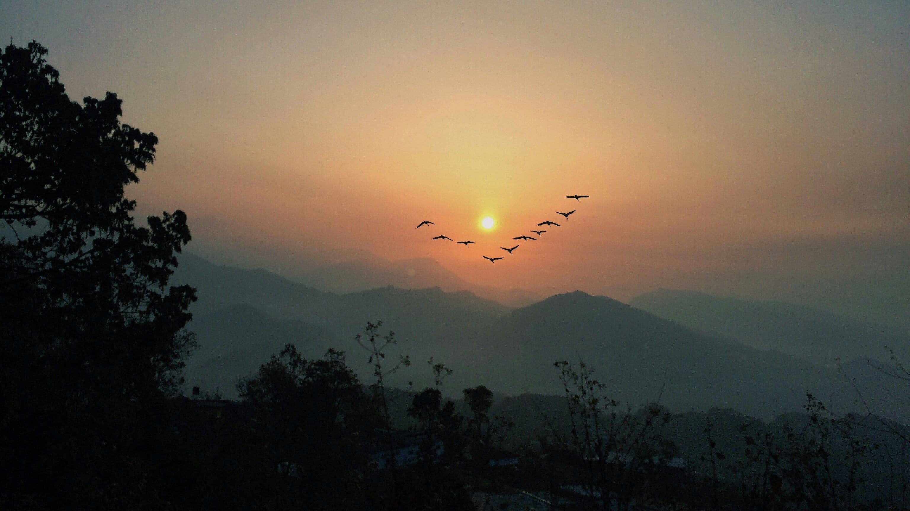 Transfer to Koshi Tappu — Gateway to the Wetlands Paradise