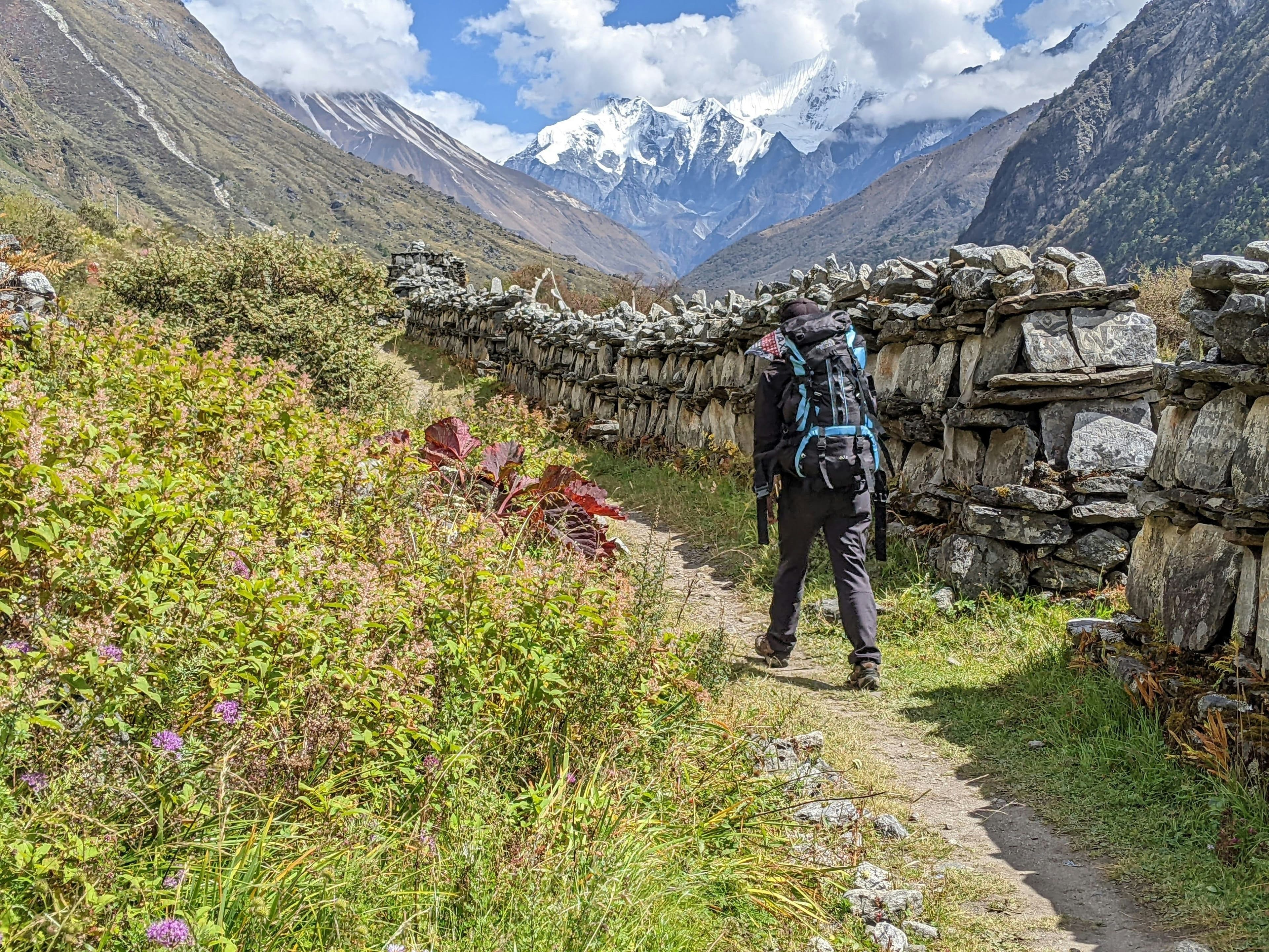 Poïro – Woodland (2750m) — Progressive Ascent & First Naturalist Observations