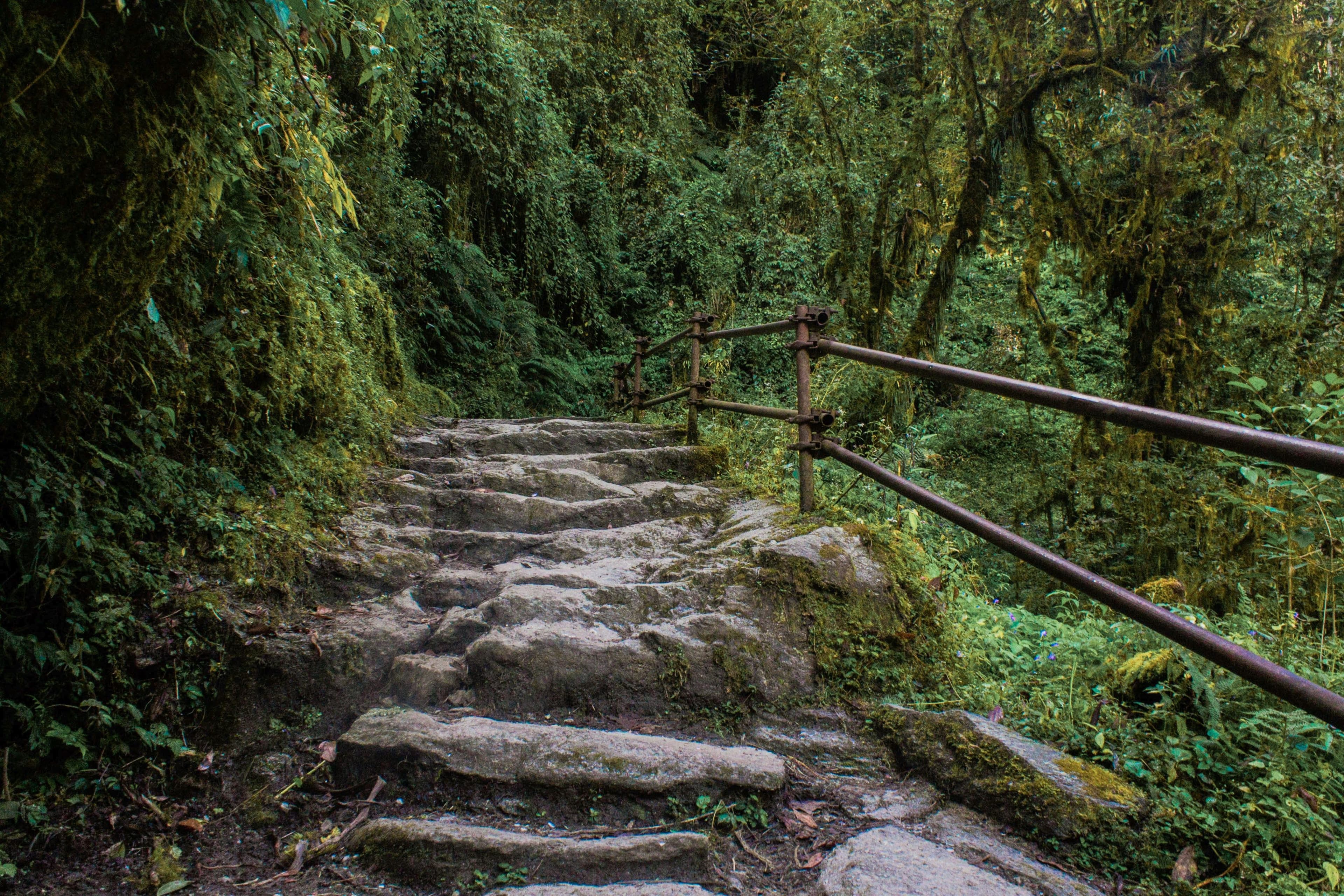 Tal – Tamang (2270m) — First Photographic Trek Day