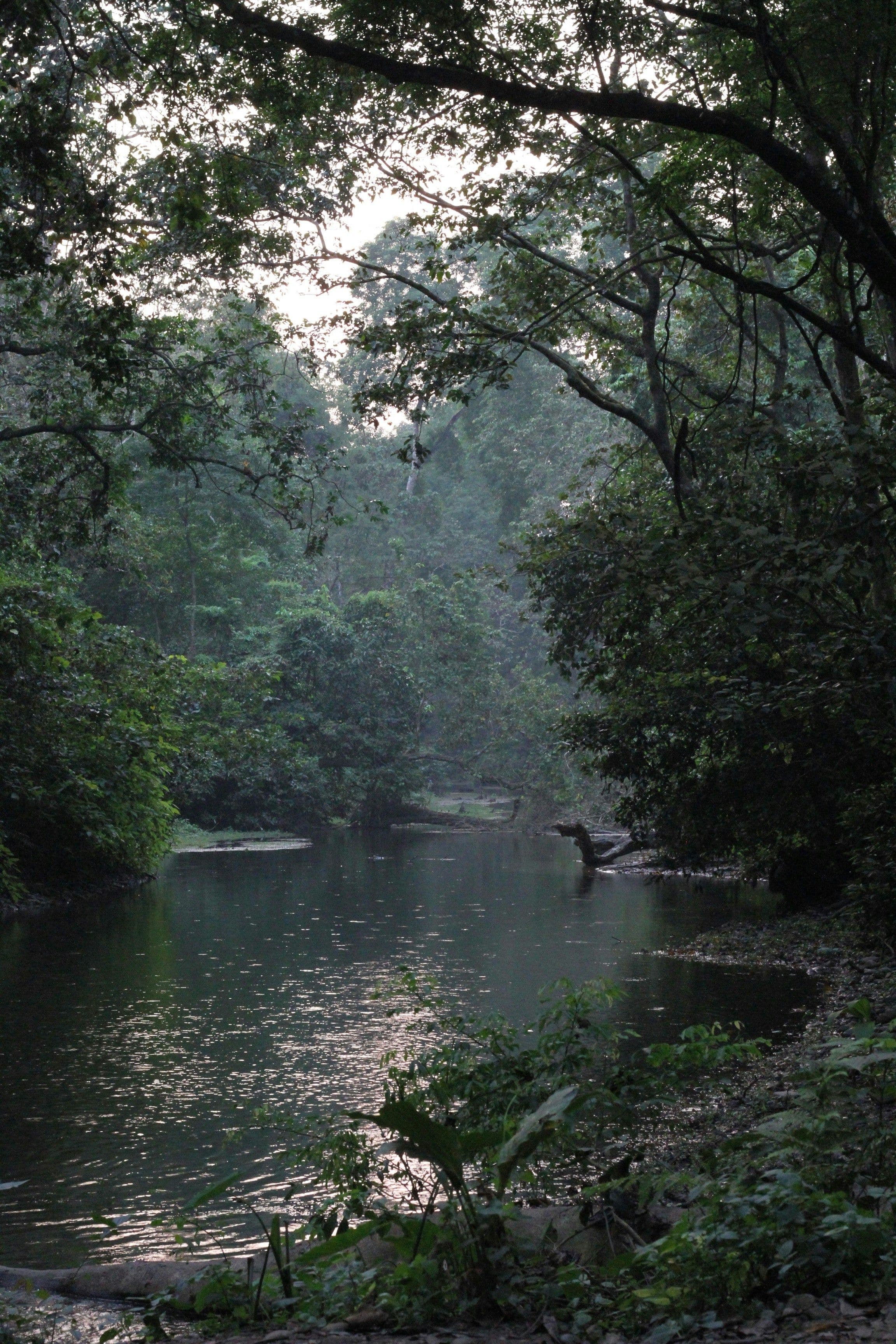 Kathmandu – Sauraha — At the Gates of the Jungle